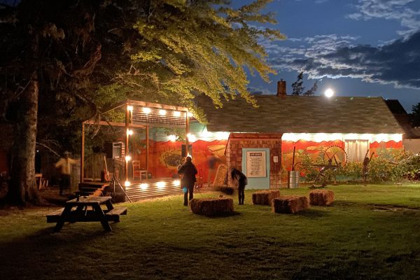 Backyard at Night
